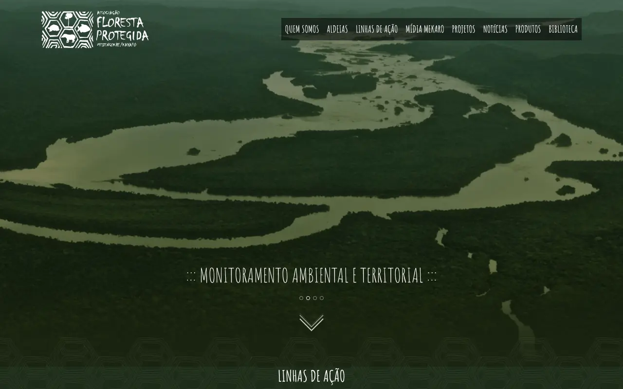 Site Floresta Protegida, do povo Kayapó, com imagem aérea de rio na Amazônia